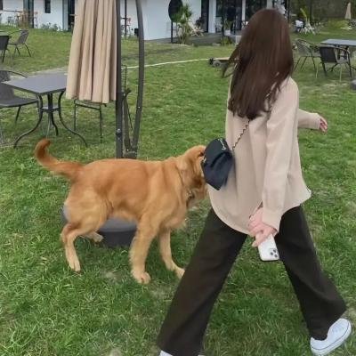 老师，你会不会回来